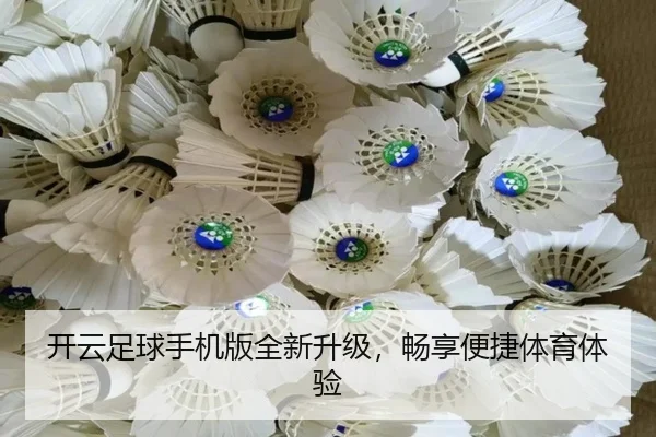 开云足球手机版全新升级，畅享便捷体育体验